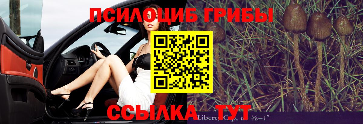 Галлюциногенные грибы Psilocybe  магазин продажи   Карачаевск  Вход с VPN 